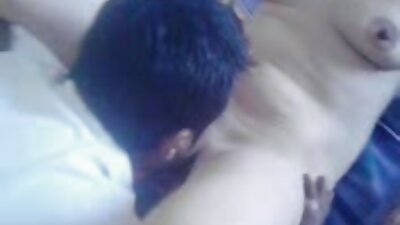 Lühikarvaline puuma naudib noore torke kallal põrgatamist